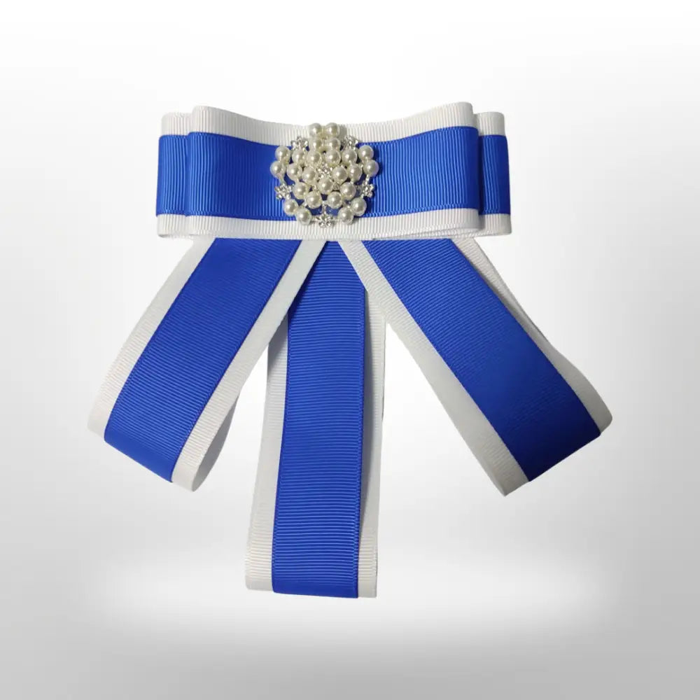 Clearance: Tie Brooch Blue And White Brooches Pins